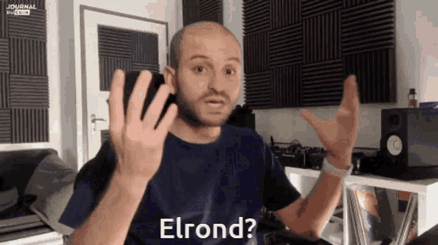 Elrond Cryptosam GIF - Elrond Cryptosam Journal Du Coin GIFs