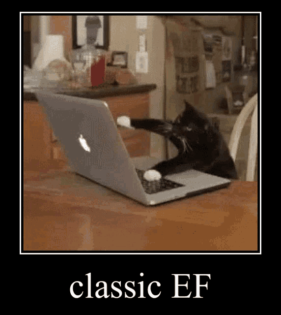 a black cat is playing with a laptop computer on a table .