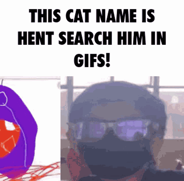 a man wearing sunglasses and a mask says this cat name is hente search him in gifs