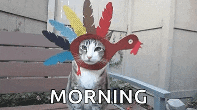a cat wearing a turkey hat with feathers is sitting on a bench .