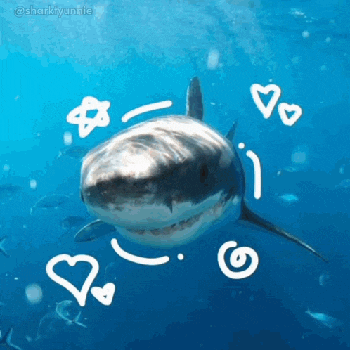a picture of a shark with hearts drawn around it by @sharktynnie
