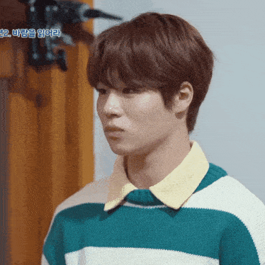 a young man wearing a green and white striped sweater has a yellow collar