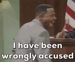 Wrongfully-accused Innocent GIF - Wrongfully-accused Accused Innocent GIFs