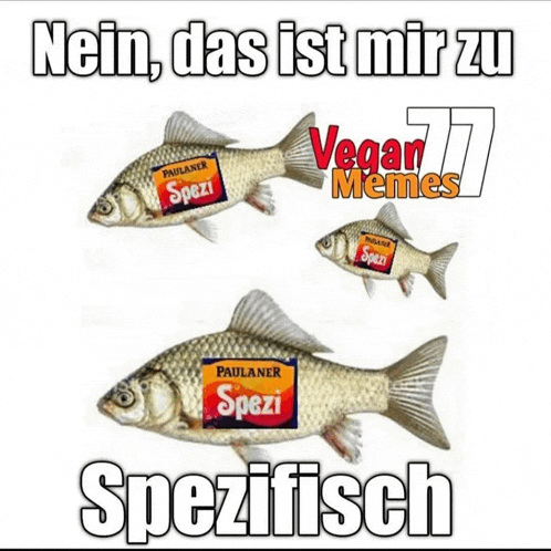 a picture of a fish with a label that says paulaner spezi