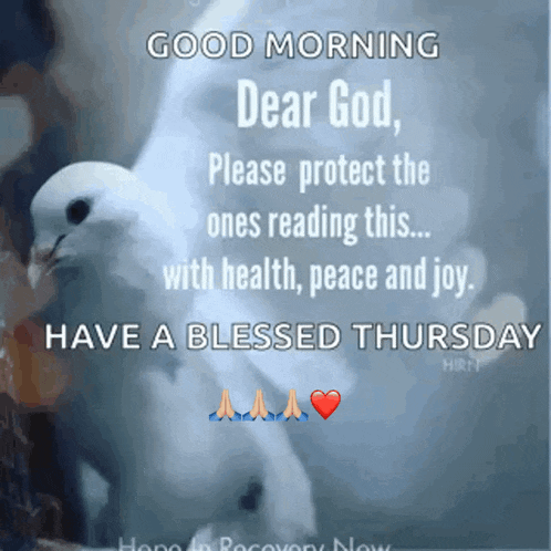 a picture of a dove with the words good morning dear god please protect the ones reading this