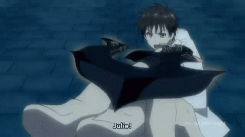 Absolute Duo Anime GIF - Absolute Duo Anime Shield GIFs