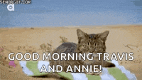 a cat is laying on a towel on the beach and says " good morning travis and annie "