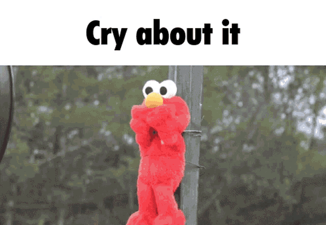 elmo stuffed animal hanging on a pole with the words cry about it above him