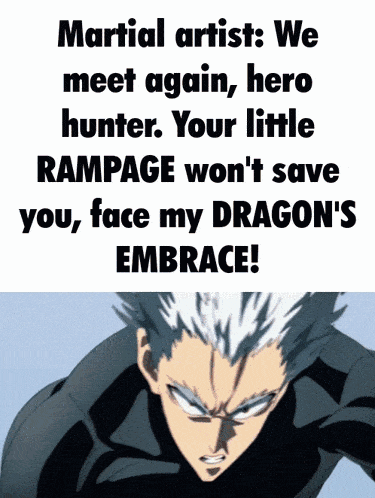 martial artist we meet again hero hunter your little rampage won t save you face my dragon 's embrace !