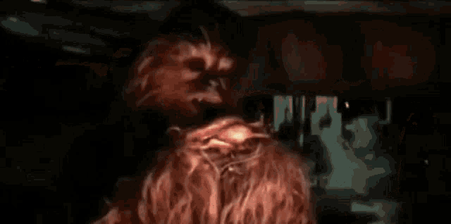 Chewbacca Porg GIF - Chewbacca Porg GIFs