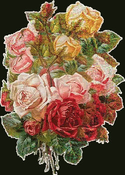 للحبيب Roses GIF - للحبيب Roses Flowers GIFs