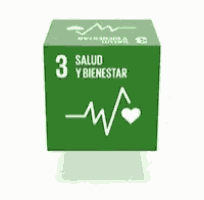 a green cube with a heartbeat on it and the words `` salud y bienestar '' written on it .
