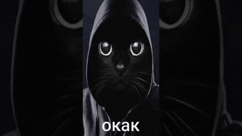 a black cat wearing a hooded sweatshirt with the word okak on the bottom