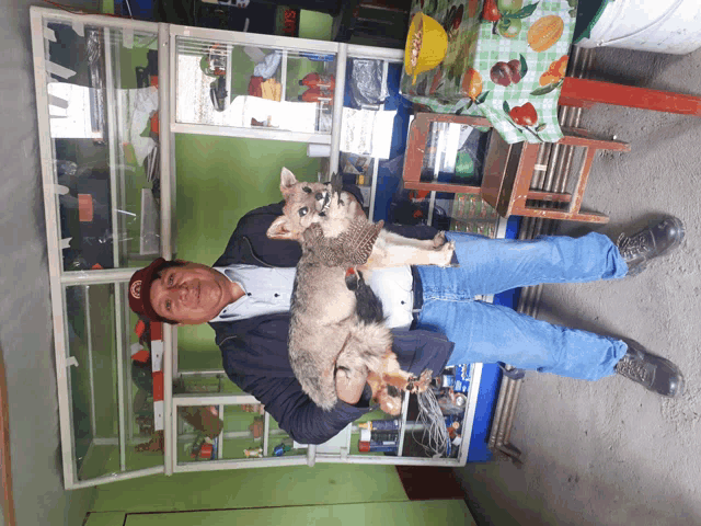 a man holding a dog in front of a table with a sign that says ' exit ' on it