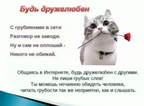 a cat is holding a red rose in its mouth with a poem in russian