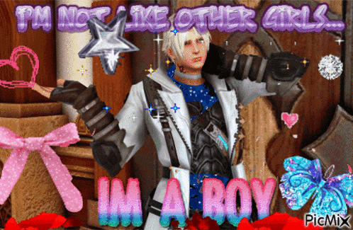 a picture of a man with the words i 'm not like other girls i 'm a boy