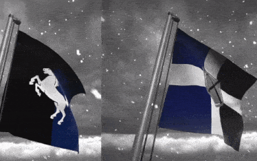 a black and blue flag with a white horse on the left