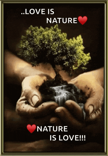 a picture of a person holding a tree with the words love is nature below it