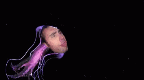 Jellyfish Swim GIF - Jellyfish Swim Hood GIFs