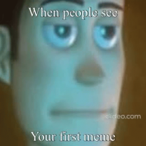 Meme Memes GIF - Meme Memes Woody - Discover & Share GIFs