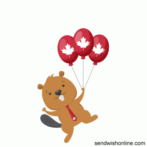 Canada Canada Flag GIF - Canada Canada Flag Canada Day GIFs