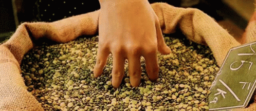 Amelie Grain GIF - Amelie Grain Hands GIFs