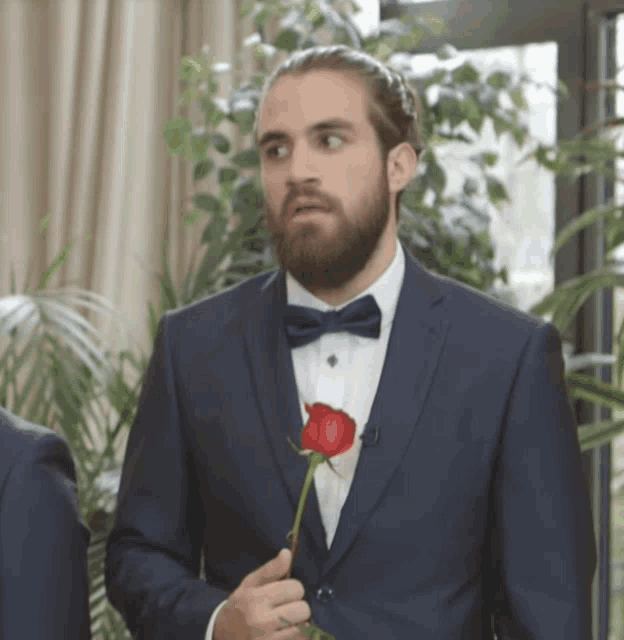 a man in a suit holding a red rose
