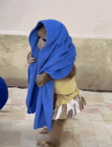 a baby monkey wrapped in a blue towel standing on the floor