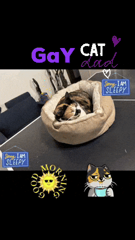 a cat is sleeping in a dog bed with a sign that says " sorry i am sleepy "