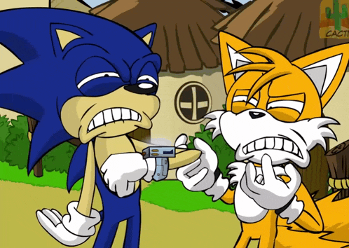 a cartoon of sonic the hedgehog and tails the fox looking at something