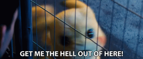 Get Me Out Free GIF - Get Me Out Free Prison GIFs