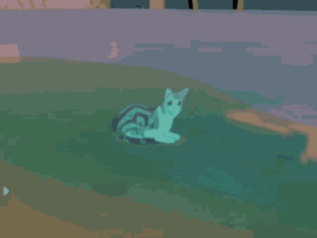 Cat Genshin GIF - Cat Genshin Impact GIFs