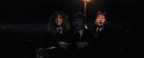 Ron Weasley Harry Potter GIF - Ron Weasley Harry Potter Sailing GIFs