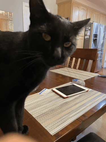 a black cat is sitting on a table with a tablet on it