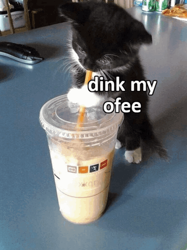 a black and white kitten drinking from a plastic cup that says dink my ofee