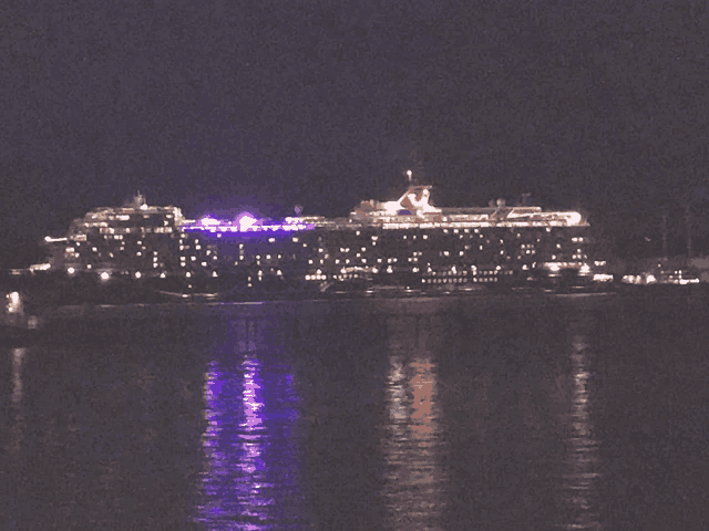 a large cruise ship is lit up at night in the ocean