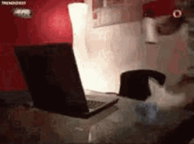 a cat is playing with a laptop computer on a desk .
