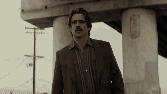 a man with a mustache stands in front of a bridge