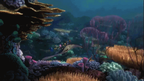 Mr. Ray GIF - Finding Nemo Sting Ray School Of Fish GIFs