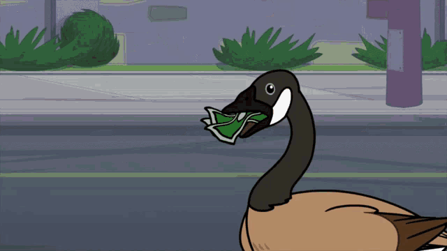 Goose Eating Money GIF