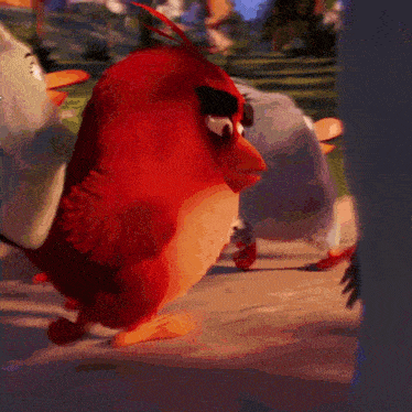 a red angry bird is standing next to a gray bird