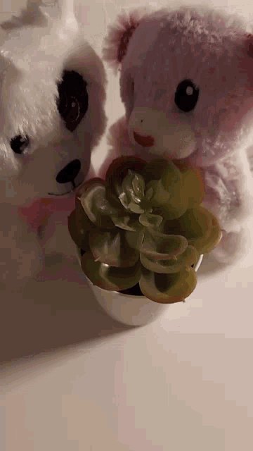 two stuffed animals are standing next to a small plant