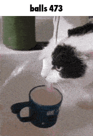 a black and white cat is drinking from a blue mug in a sink .