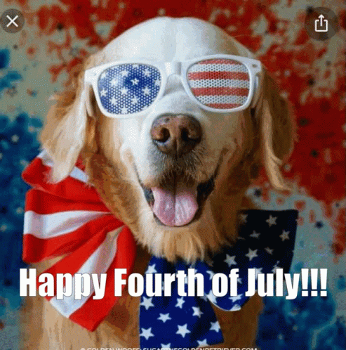 Happy Fourth Of July Dog GIF - Happy Fourth Of July Dog Patriotic GIFs