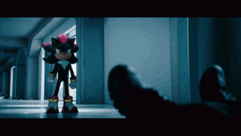shadow the hedgehog standing in a hallway next to a person
