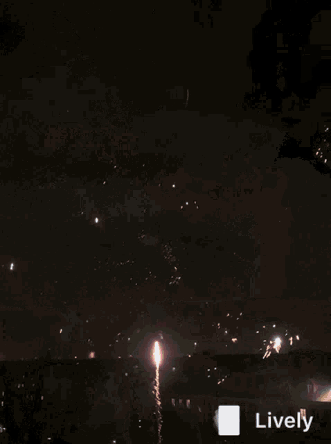 a fireworks display with the word lively in the upper right