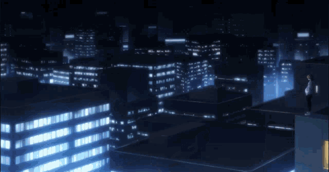 a person standing on the roof of a building in a city at night