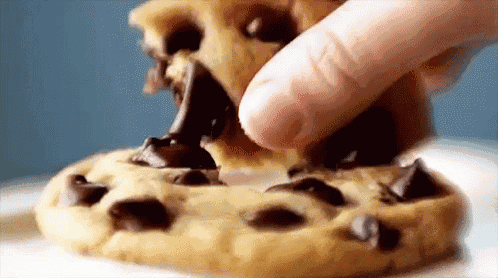 a close up of a person eating a chocolate chip cookie on a plate