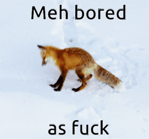 Bored Fox GIF - Bored Fox Funny GIFs