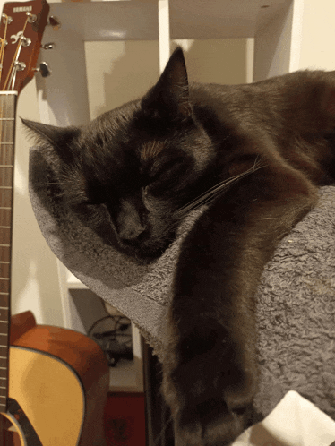a black cat is sleeping on a blanket next to a guitar